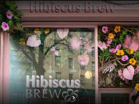 HIBISCUS-BREW-front