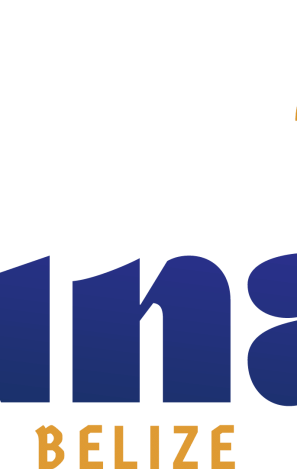 ccIuOBXc9XW0-Luna-Realty-Logo